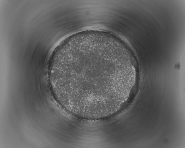 X0000112380923200909241211