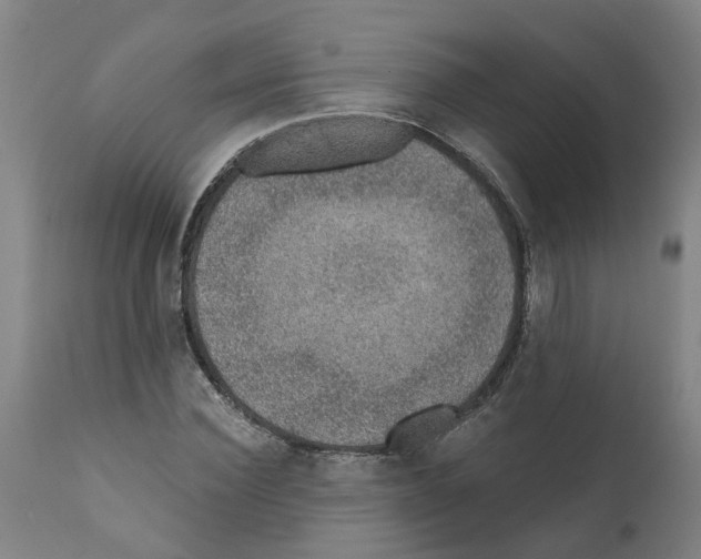 X0000112380924200909241211