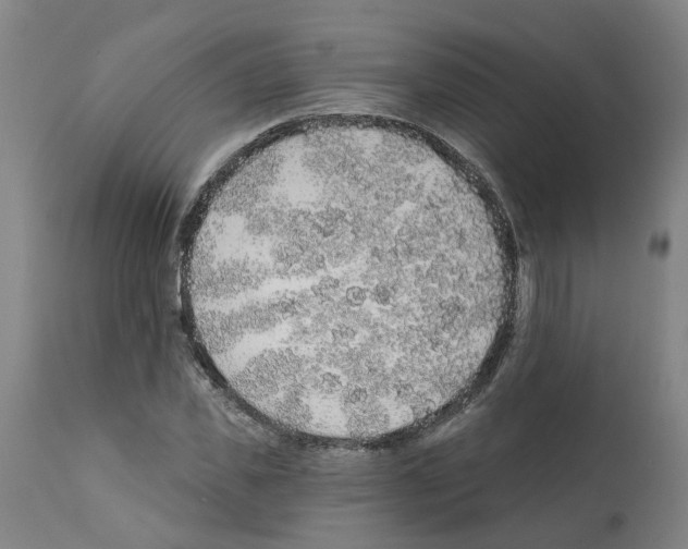 X0000112380925200909241211