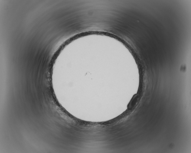 X0000112380926200909241211