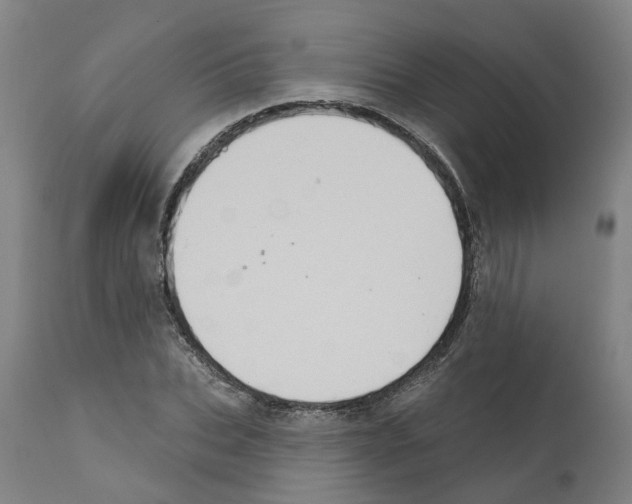 X0000112380927200909241211