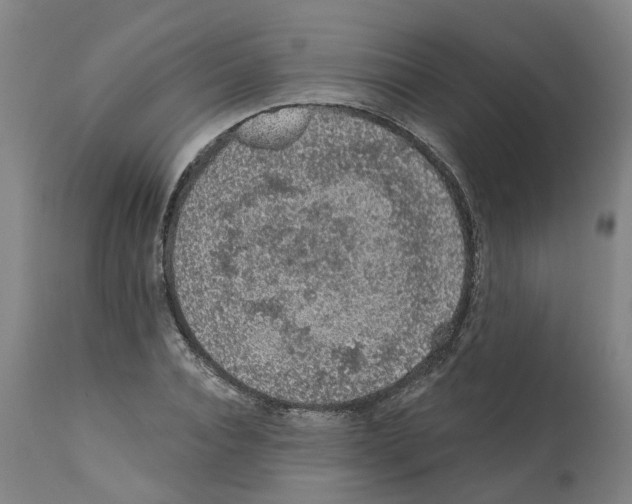 X0000112380928200909241211