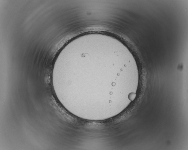 X0000112380929200909241211