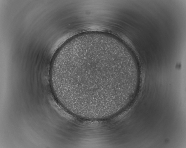 X0000112380930200909241211