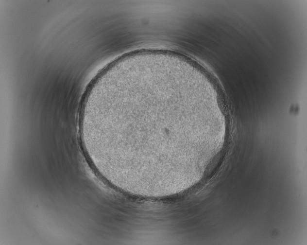 X0000112380935200909241211