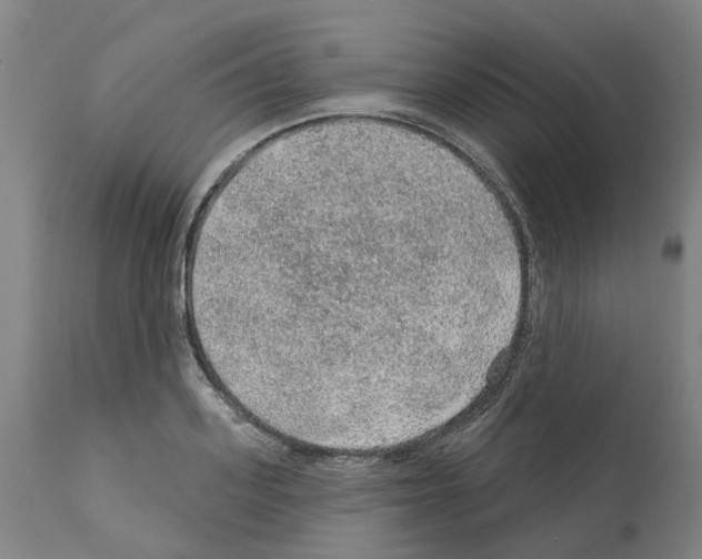 X0000112380939200909241211