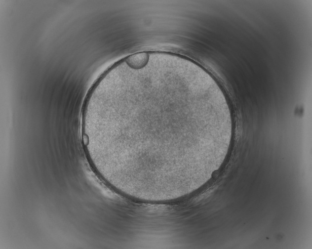 X0000112380940200909241211