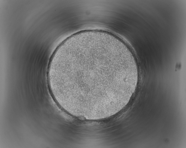 X0000112380943200909241211