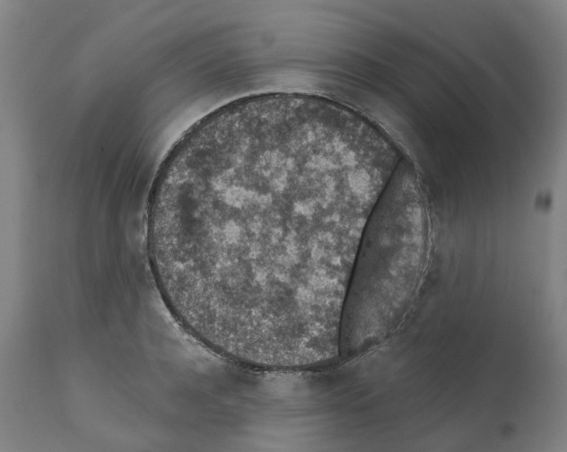 X0000112380944200909241211