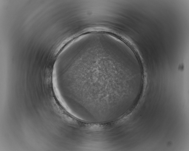 X0000112380945200909241211