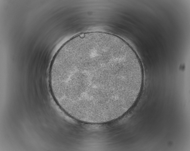 X0000112380949200909241211