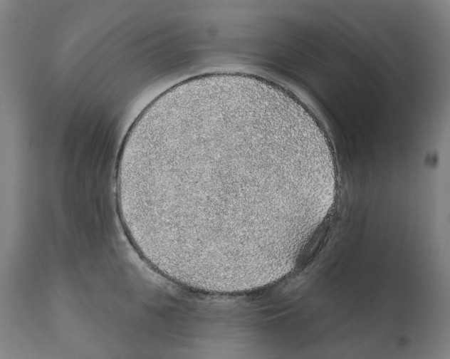 X0000112380951200909241211