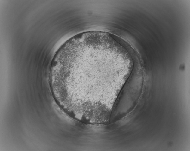 X0000112380952200909241211