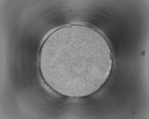 X0000112380955200909241211