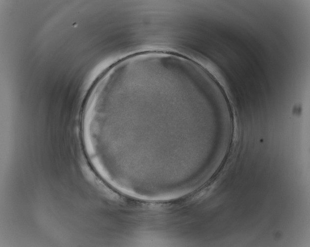 X0000112380958200909241211