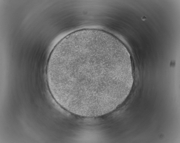 X0000112380959200909241211