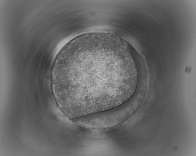 X0000112380960200909241211