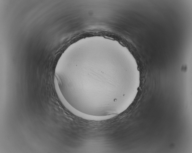 X0000112380965200909241211