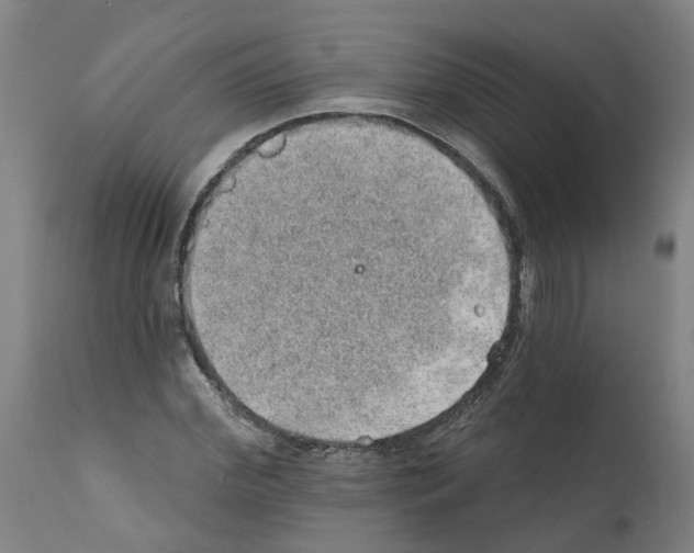 X0000112380972200909241210