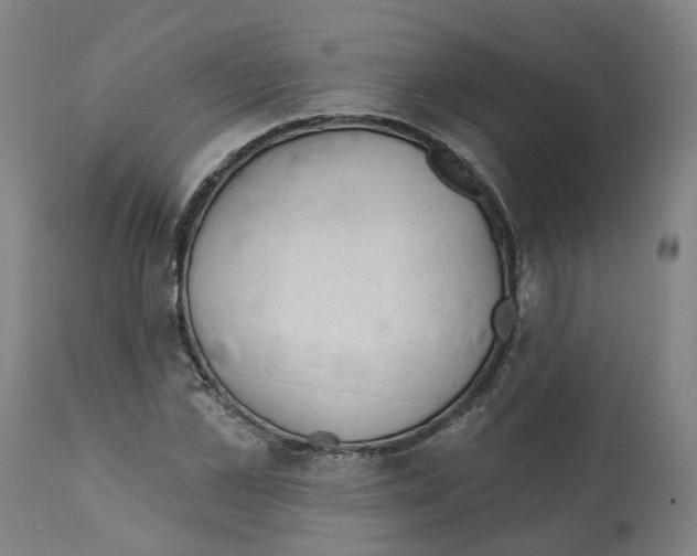 X0000112380973200909241210