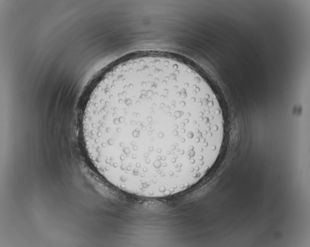 X0000112380974200909241210