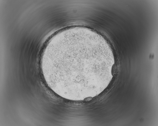 X0000112380975200909241210