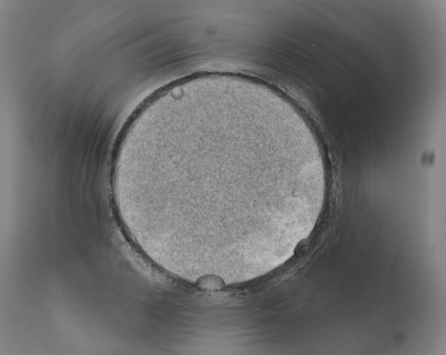 X0000112380976200909241210