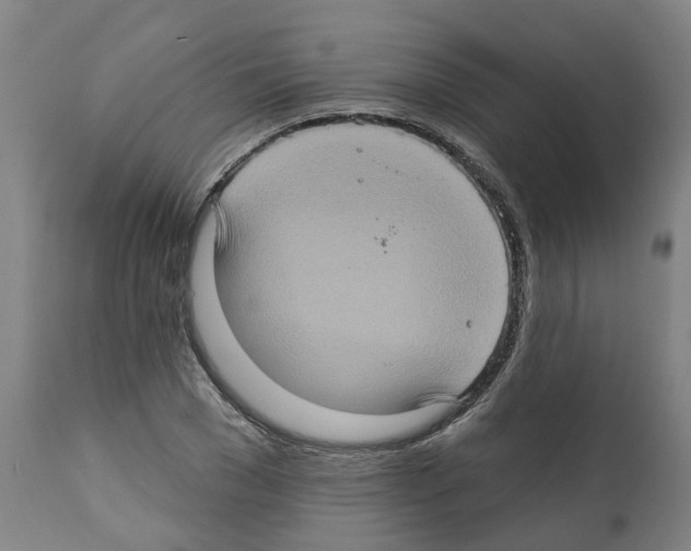 X0000112380977200909241210