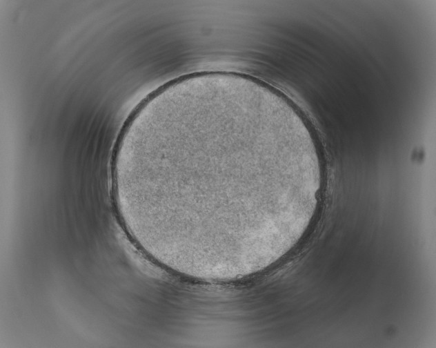 X0000112380980200909241210