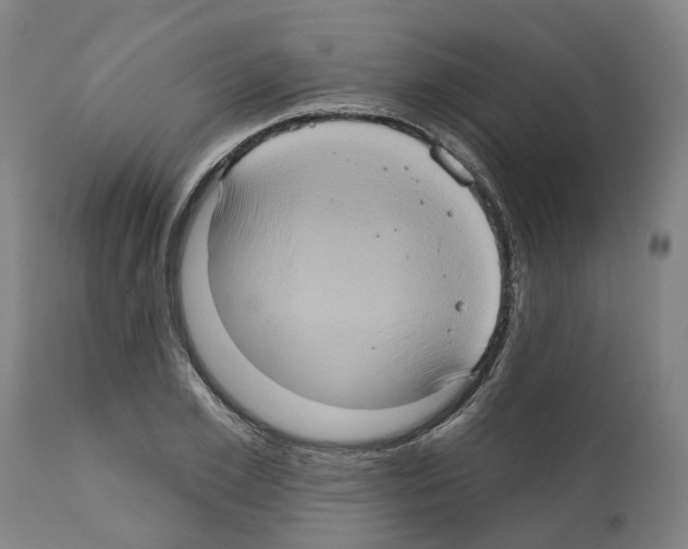 X0000112380981200909241210