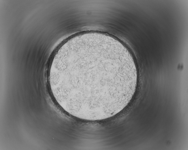 X0000112380983200909241210