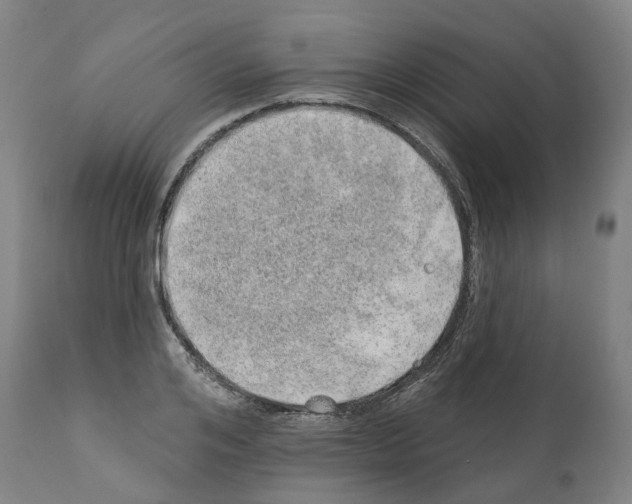 X0000112380984200909241210