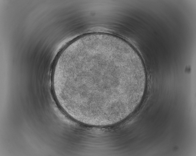 X0000112380987200909241210