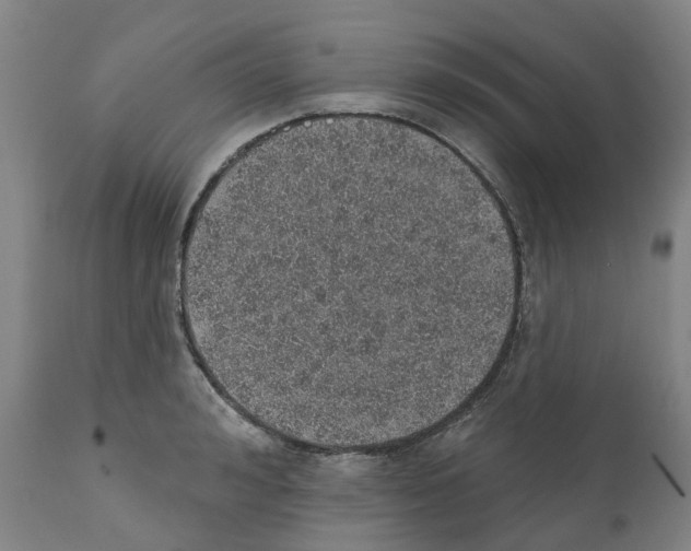 X0000112380992200909241210