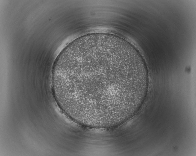 X0000112380994200909241210