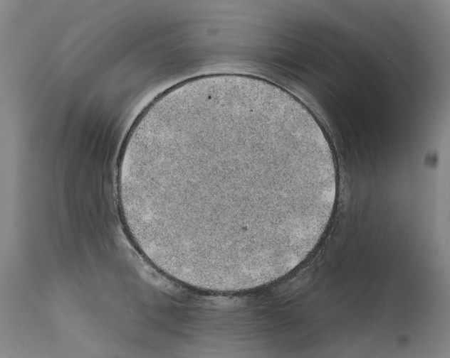 X0000112380996200909241210