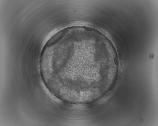 X0000112380997200909241210