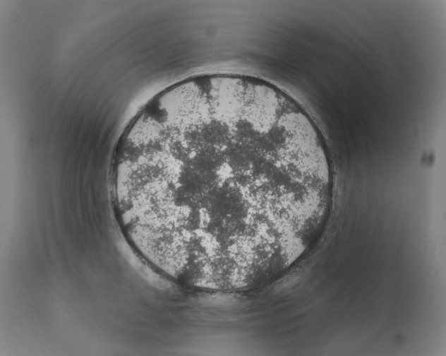 X0000112380998200909241210