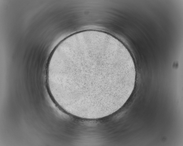 X0000112380999200909241210