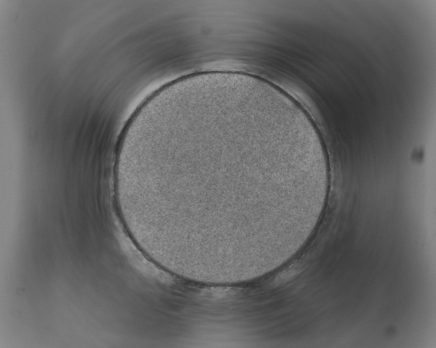 X0000112381000200909241210