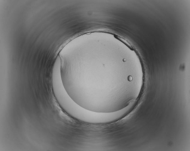 X0000112381001200909241210