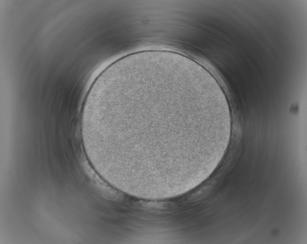 X0000112381004200909241210