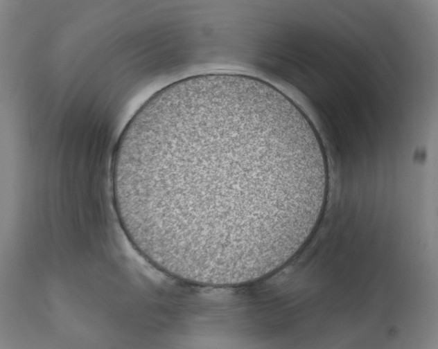 X0000112381006200909241210