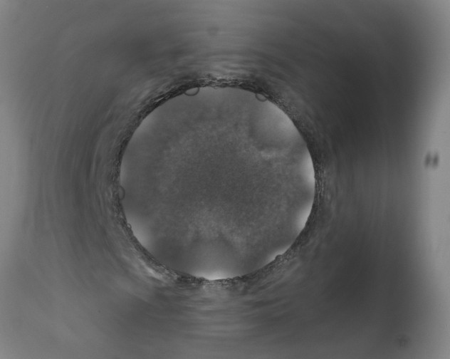 X0000112381009200909241209