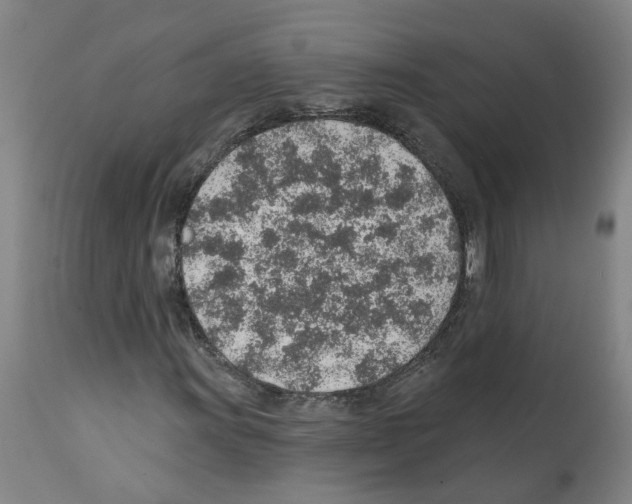 X0000112381011200909241209