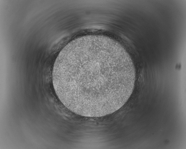 X0000112381014200909241209