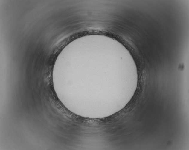 X0000112381015200909241209