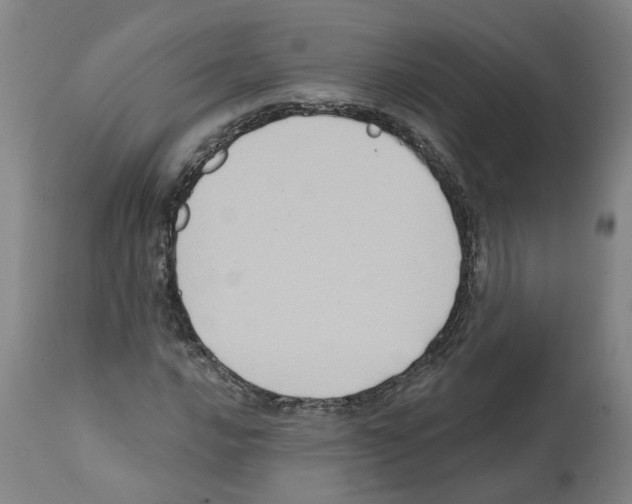 X0000112381016200909241209