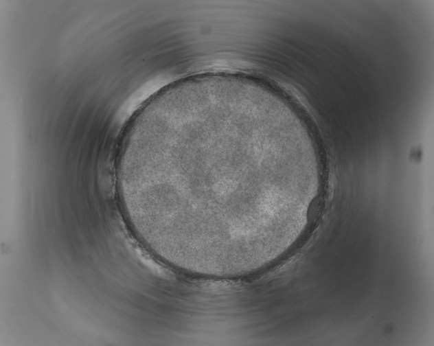 X0000112381018200909241209