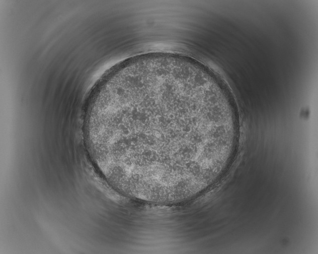 X0000112381019200909241209